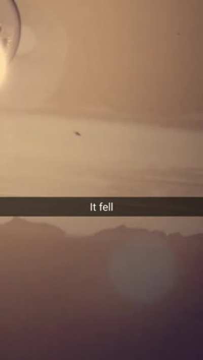 A bug fell on me circa 2016