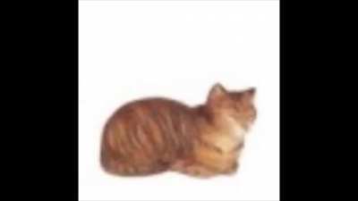 Bread Cat
