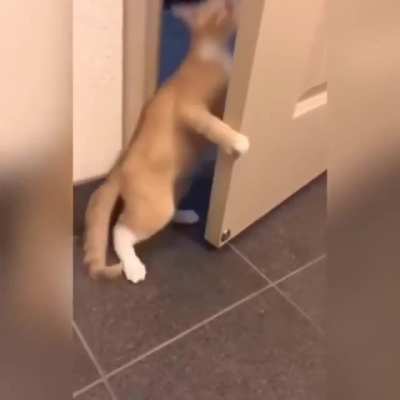 "I'm out of here!"