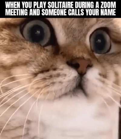 Damn. Got me!