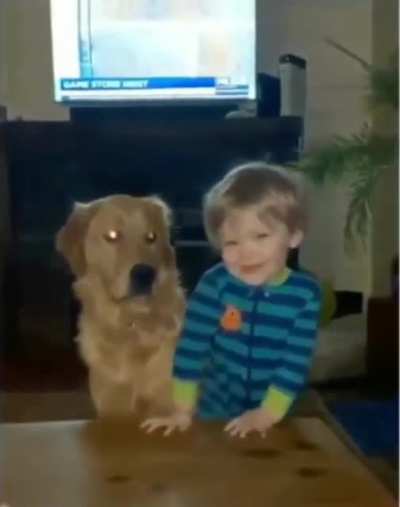 When animals attack