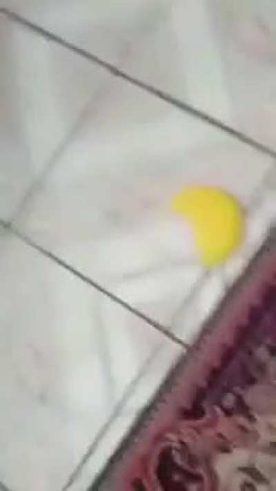 cuscuz