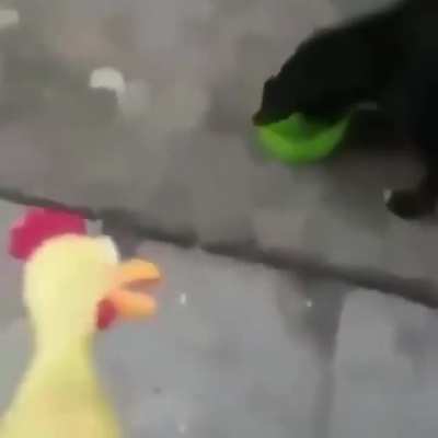 Is this a challenge?