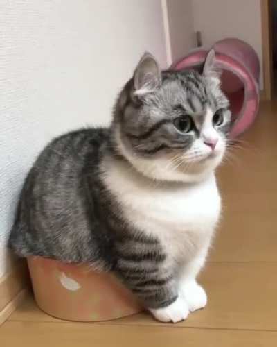 i sit, i fit.