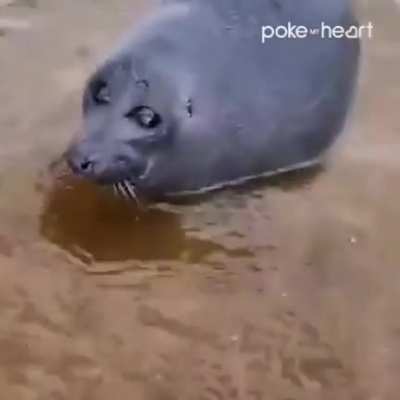 TirEd SwiMMer gEts WaterBOaRded