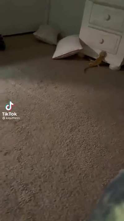 I didn&rsquo;t mean it!