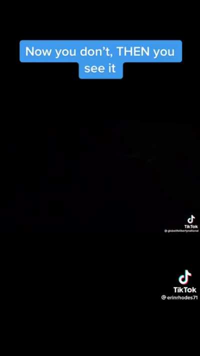Video I saw of an almost direct hit from a tornado- insane