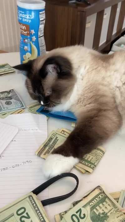 Theo won't even give me an allowance!