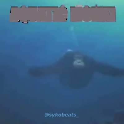 mono agua