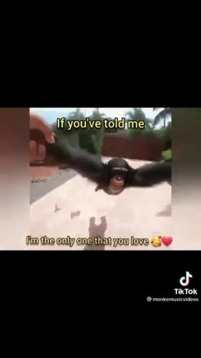 Monke