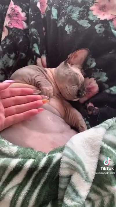 Nekkid chonk