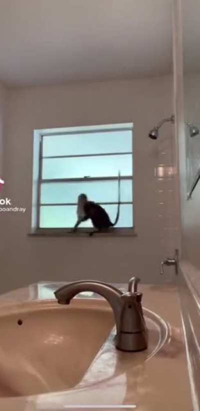 At least he isn&rsquo;t jumping on the bed.