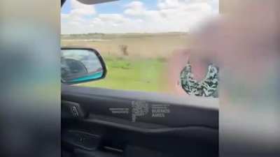 Manejaba con una criatura en su regazo y cuando lo pararon reaccion&oacute; de manera violenta