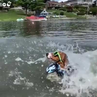 Spladoosh