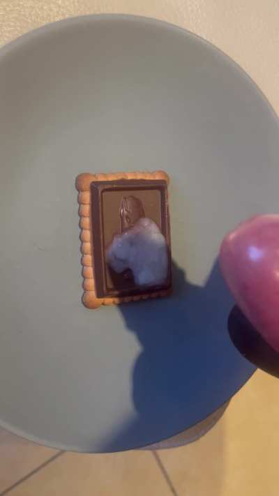 Who wants a piece ?
