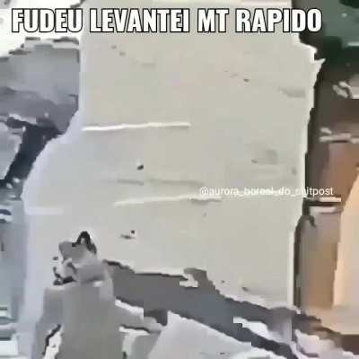 O t&iacute;tulo foi almo&ccedil;ar