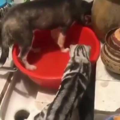 Maybe maybe maybe