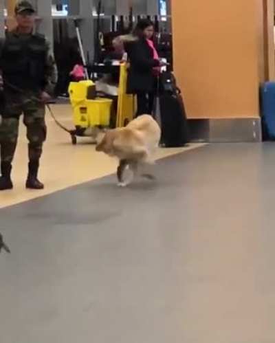 Highly trained Airport Security