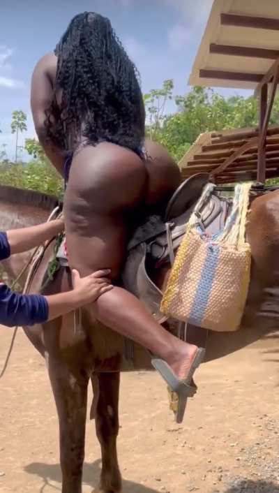 Stallion on a Horse