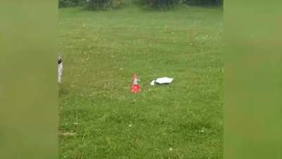 This cat got lucky