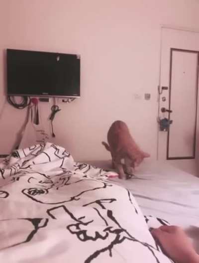 Ne g&uuml;zel attı lan