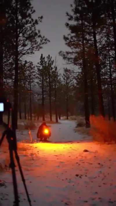 This light photo!