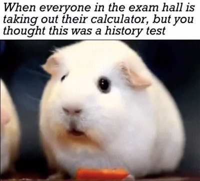 Do I have the wrong schedule?