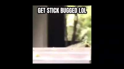 Stick_irl