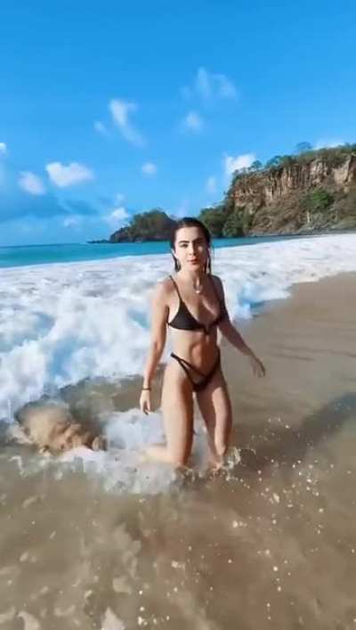 Feliz Ano Novo