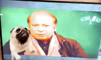 اب یہ کیا ہے