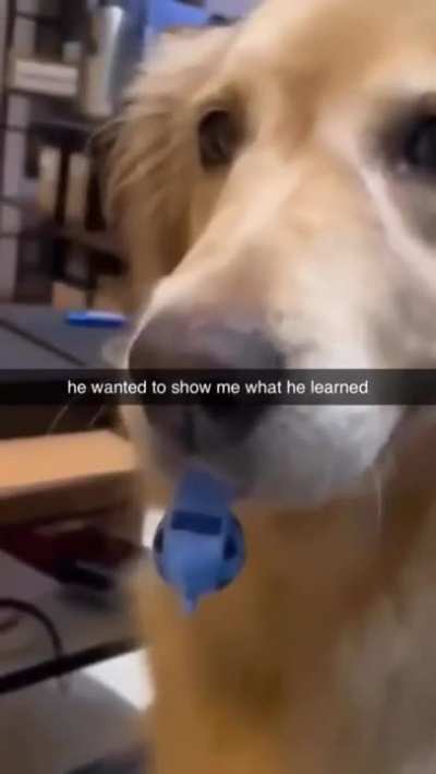 skilled rule