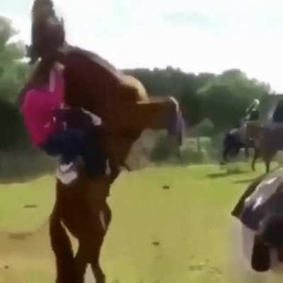 Im gonna pull on the horses mane, i saw that on TV what coud go wrong