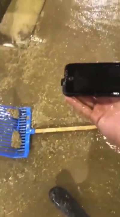 Cleaning a phone