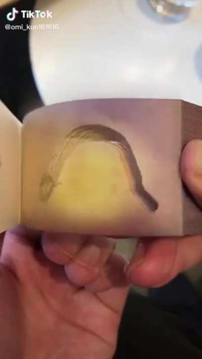 This amazing flip book