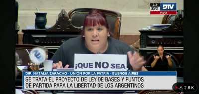 Diputada Zaracho: 