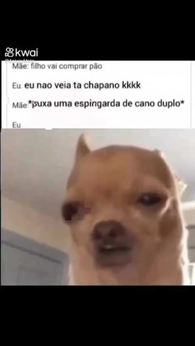 🫵🤨🏳️&zwj;🌈?