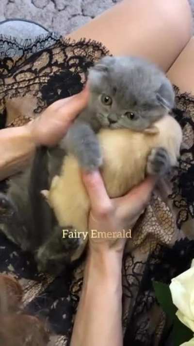 So cute