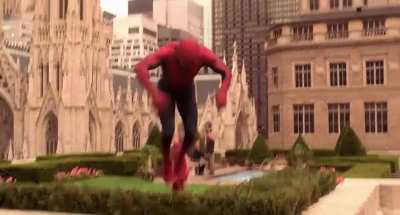 Spider-Ditkovich (rent)