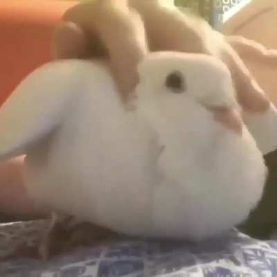 :)
