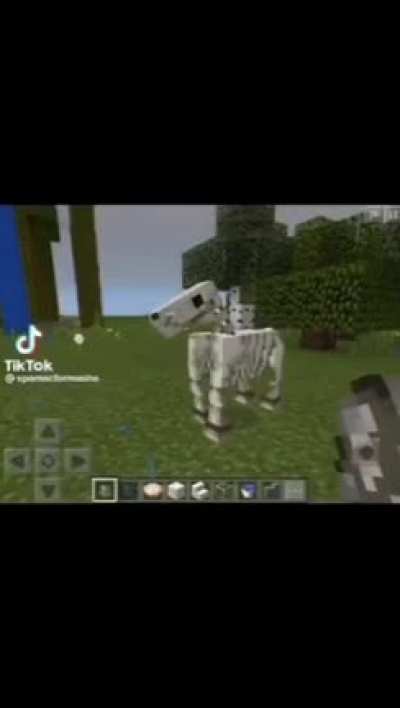 💀