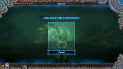 Thanks, Mipha.