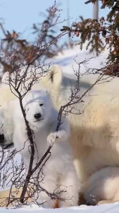 Hanging out with mom.