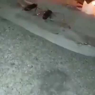 My room last night (colorized 2020)