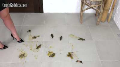 Alisa Crawdad Crush with heels