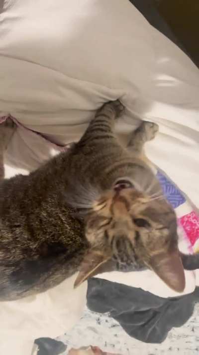 Haven&rsquo;t posted my screaming baby in a while (sorry my phones upside down lol)
