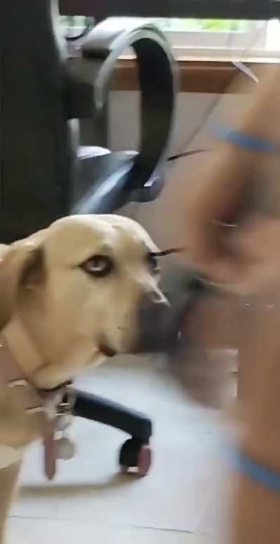He's doing the thing again