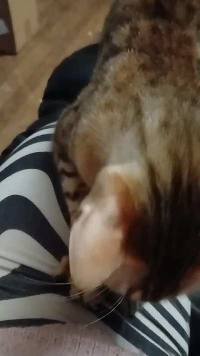 Skinny mfer eating tape
