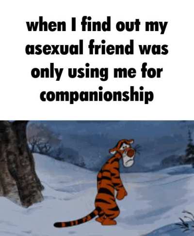 Turns out it was just&hellip; friendship