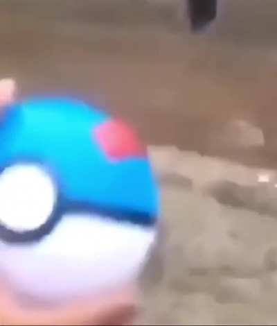 Blursed_Pokemon