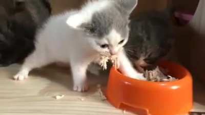 "I like to stretch while I eat"